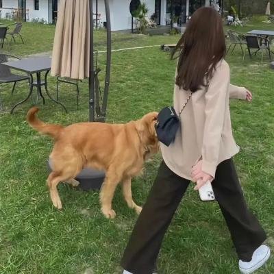 亲爱的小小忧愁