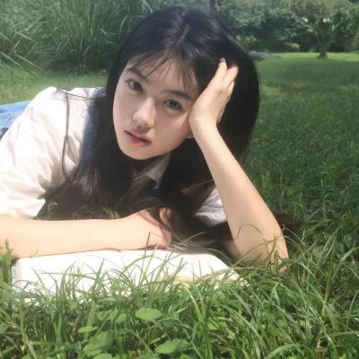 摄影师贝尔蒂与海豚零距离
